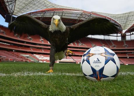 Ces aiglent qui planent au dessus du football européen