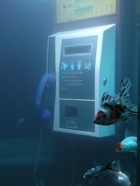 Lyon : le « téléphone mobile » de cet artiste ne passe pas inaperçu