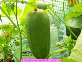 Tajine aux concombres (Vegan)