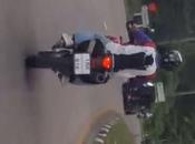 Amazing Thailand, épisode chat perché (vidéo)