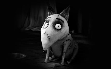 Il repère une illusion troublante dans un cimetière animalier