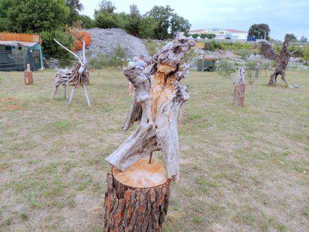 Juillet 2017 – séjour sur l’ile de KRK en Croatie Juillet 2017 – séjour sur l’ile de KRK en Croatie