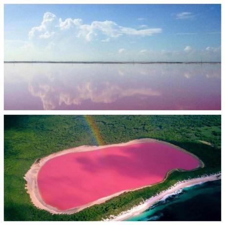 Le lagon « Las Coloradas » au Mexique