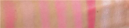 TAM Beauty : palette de Blush Revolution