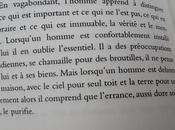 longues nuits d'été