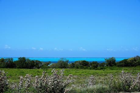 nouvelle-caledonie-poe-5