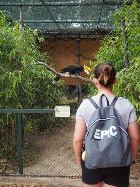 #Découverte : le Parc zoologique Tropical de La Londe