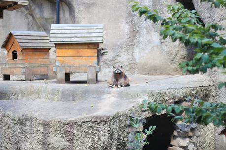 [ En Balade ] Le Zoo de Maubeuge