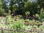 Chantier médiéval Guedelon