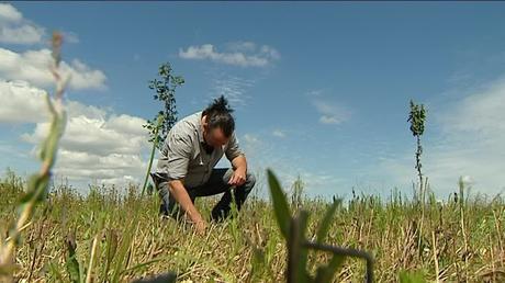 Dans sa ferme de Charente-Maritime, Benoît Biteau a décidé de se tourner vers une agriculture moins consommatrice d'eau. / © FTV