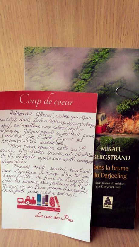 20793962_10154760818911361_101330623_o