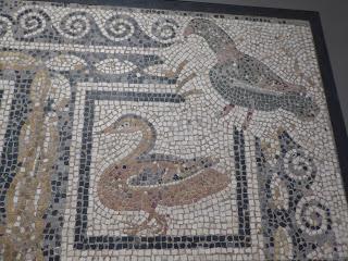 (Pré)-histoires de Jura