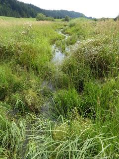 (Pré)-histoires de Jura