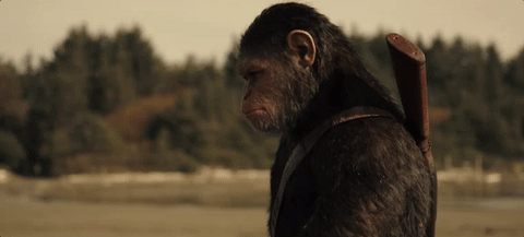 Tag Favourite Characters: Apes together strong!