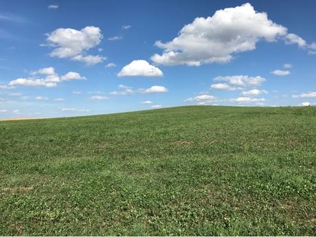 Windows XP retrouvé et réflexions rapides