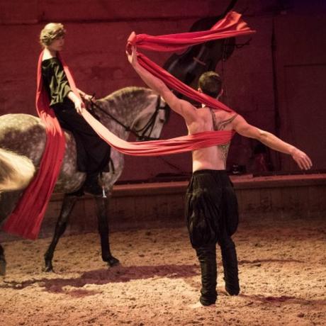 Spectacle estivale aux Grandes écuries de Chantilly