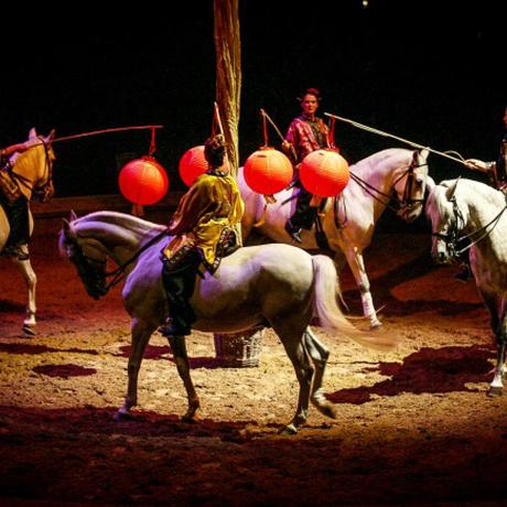 Spectacle estivale aux Grandes écuries de Chantilly