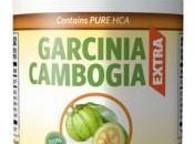 Garcinia Cambogia Extra: formule unique contient cétone framboise