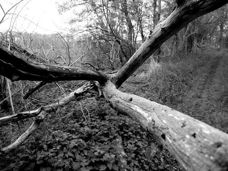 # 198/313 -  Tout est toujours en train de changer