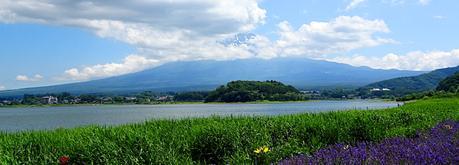 Visiter Tokyo en 7 jours et tomber en amour Visiter Tokyo en 7 jours et tomber en amour