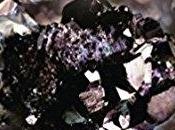 Lux, tome Opposition