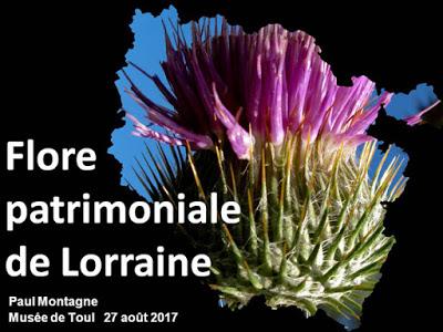 Flore des habitats patrimoniaux de Lorraine