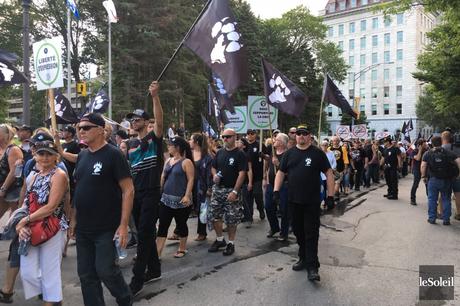 Les Loups Qui Donnent La Patte (sans complètement réaliser que ce sont eux que nous voulons chasser)