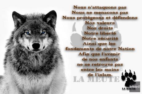 Les Loups Qui Donnent La Patte (sans complètement réaliser que ce sont eux que nous voulons chasser)