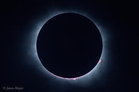 Le Soleil et la Lune au moment de la totalité en Caroline du Sud. Du disque noir ne dépasse que les protubérances solaires. Les deux astres alignés sont nimbés de la couronne solaire -- Crédit : Jason Major, lightsinthedark.com