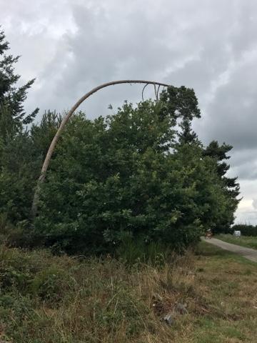 Plier mais ne pas rompre