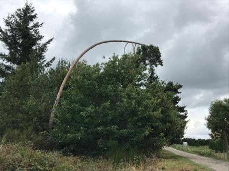 Plier mais ne pas rompre