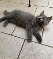 Le Troisième Enfant