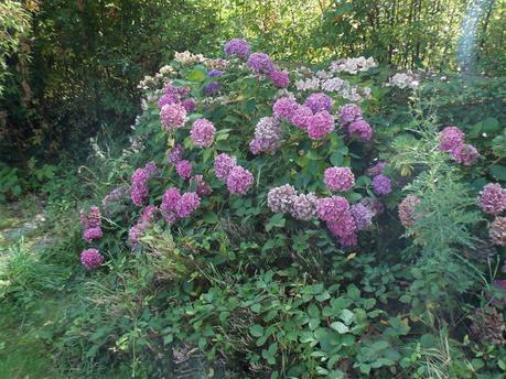 la poésie de la terre ne meurt jamais