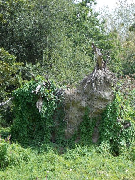 la poésie de la terre ne meurt jamais