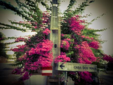 Une image n'a pas besoin d'amarre