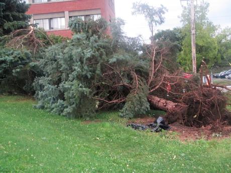 Pays étranger - Montréal sous la tempête