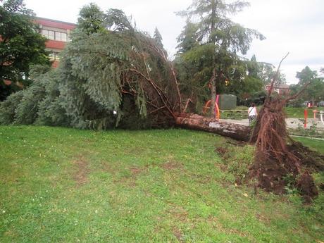 Pays étranger - Montréal sous la tempête