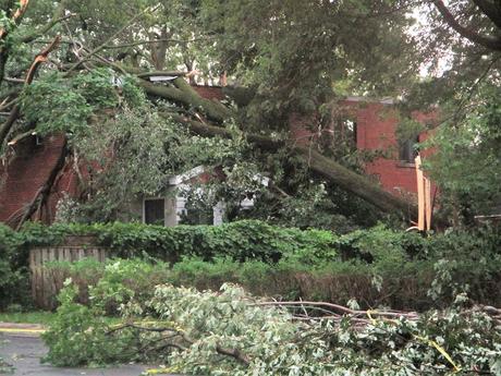 Pays étranger - Montréal sous la tempête
