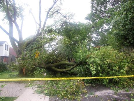 Pays étranger - Montréal sous la tempête