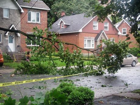 Pays étranger - Montréal sous la tempête