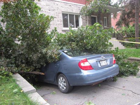 Pays étranger - Montréal sous la tempête