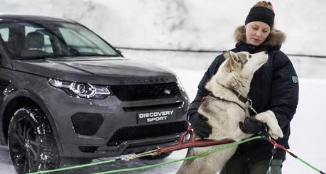 Une course entre un Land Rover Discovery Sport et des chiens de traineaux