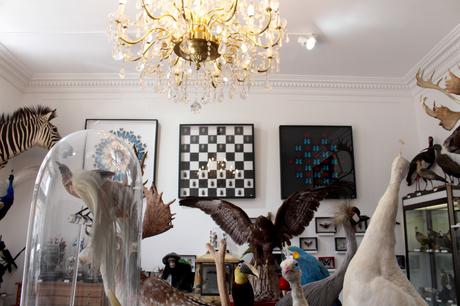 Deux cabinets de curiosités pour les amateurs de taxidermie!