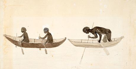Canoe-Tupaia