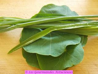Quenelles de riz aux capucines et aux noix et sauce surprise (Vegan)