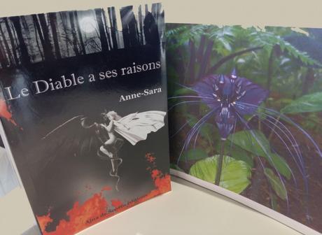 le diable a ses raisons