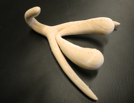 Le (vrai) clitoris, réalisé sur une imprimante 3D