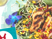 Septembre: Menu poulet semaine mois national #CDNChickenMonth