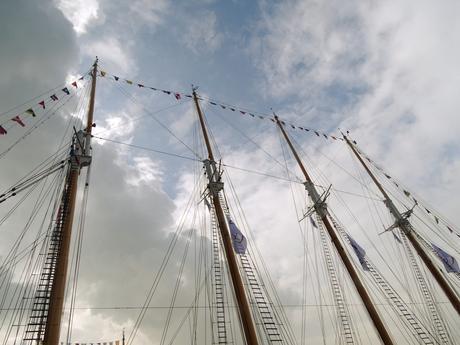 Les grands voiliers aux 500 ans du Havre