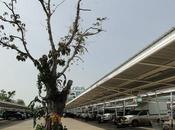 Routes Thaïlande dangereuse Mythe réalité